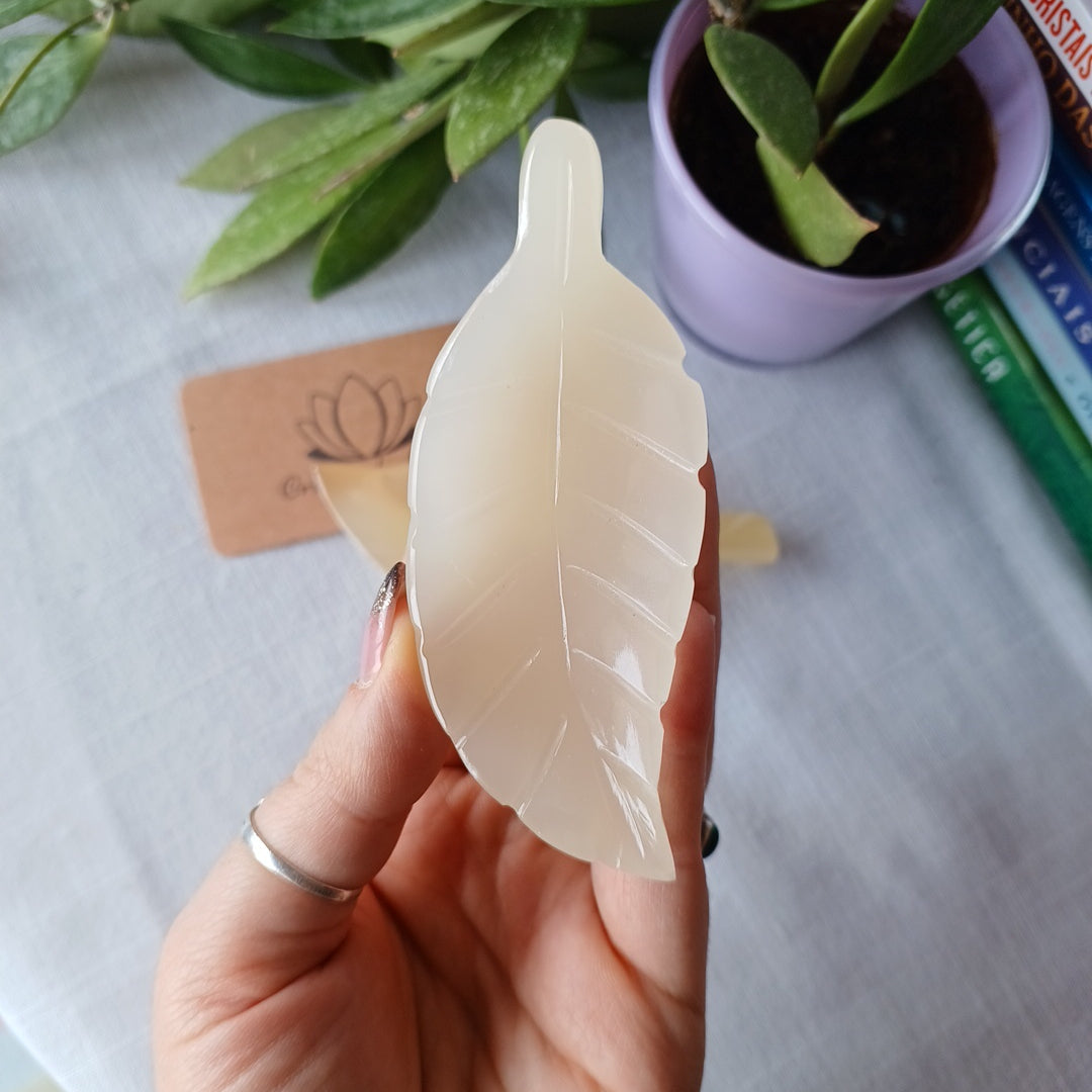 Taça Folha mini de Calcite Mel