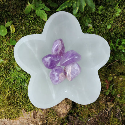 Star Cup in Selenite