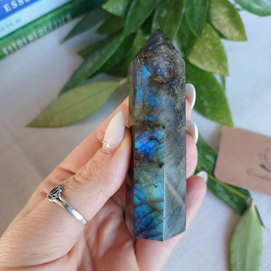 TL4 Gerador Labradorite