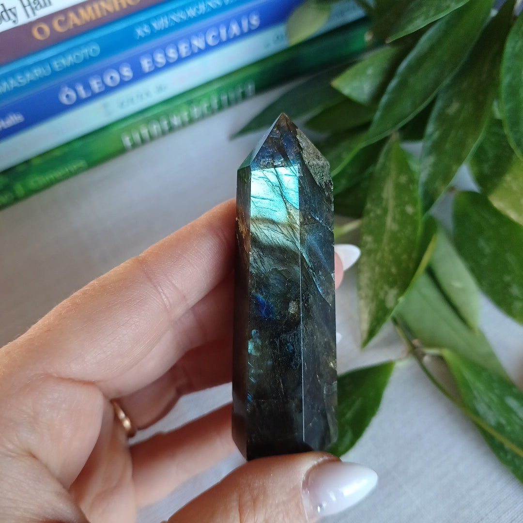 TL1 Labradorite Generator