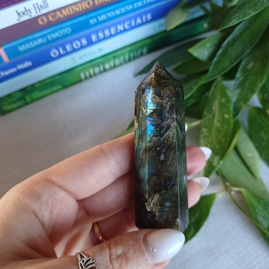 TL1 Gerador Labradorite