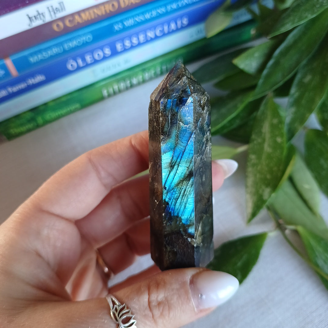 TL1 Gerador Labradorite