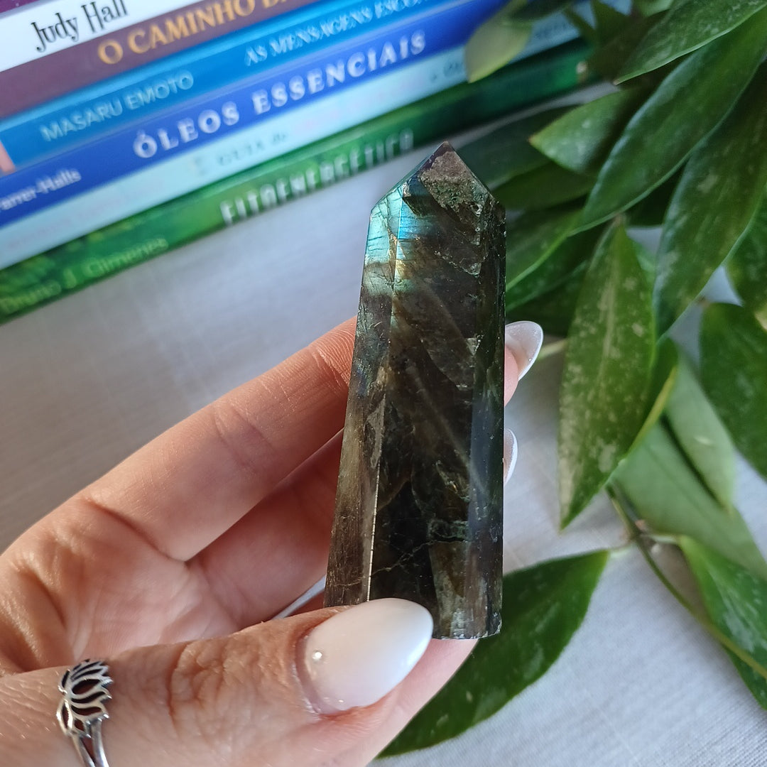 TL1 Gerador Labradorite