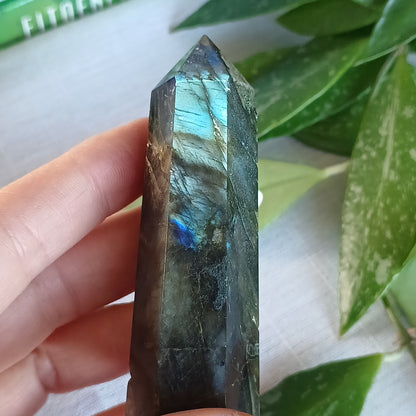 TL1 Labradorite Generator