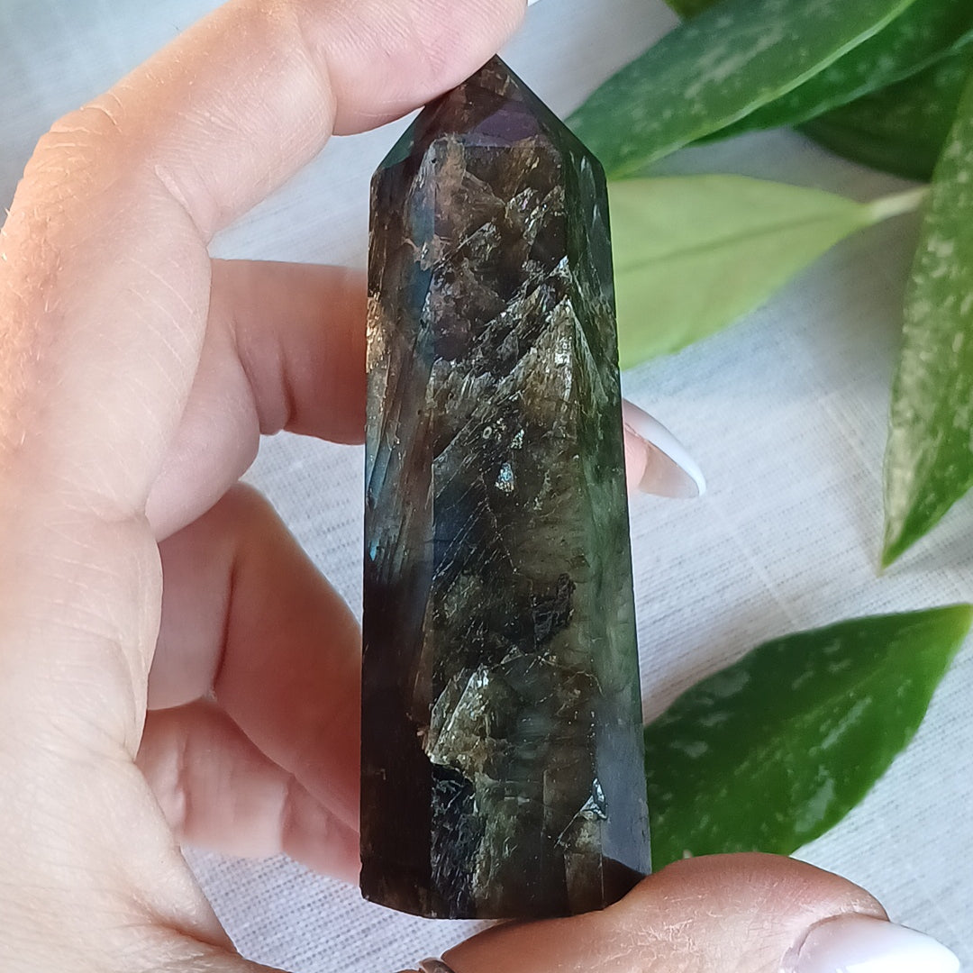 TL1 Gerador Labradorite