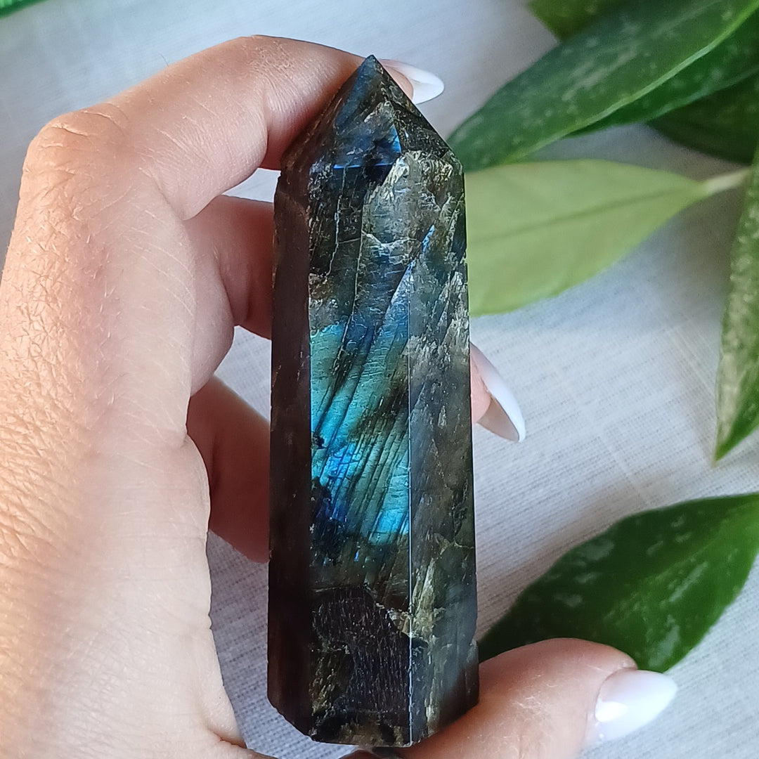 TL1 Gerador Labradorite