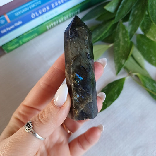 TL2 Gerador Labradorite