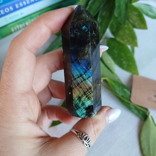 TL3 Gerador Labradorite