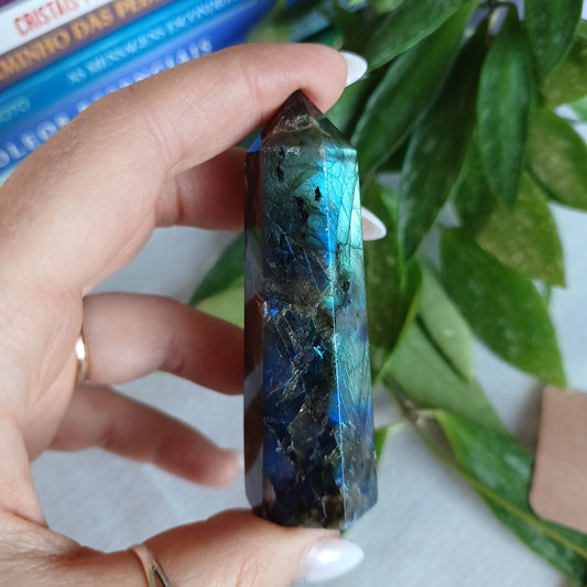 TL5 Gerador Labradorite