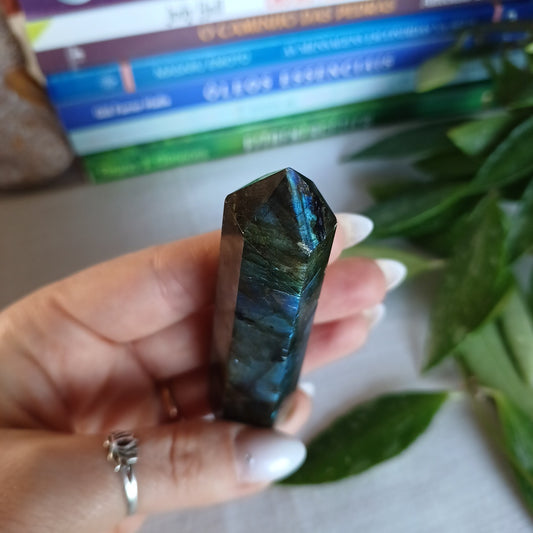 TL6 Gerador Labradorite