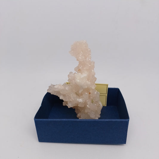 ARG03 Aragonite Coraloide