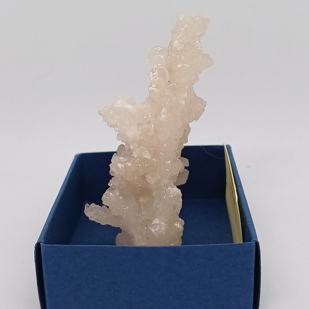 ARG03 Coraloid Aragonite