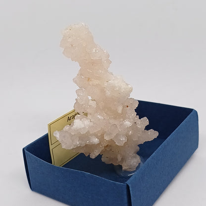 ARG03 Aragonite Coraloide