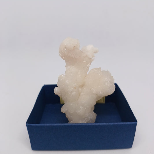 ARG04 Aragonite Coraloide