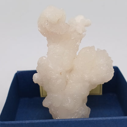 ARG04 Coraloid Aragonite