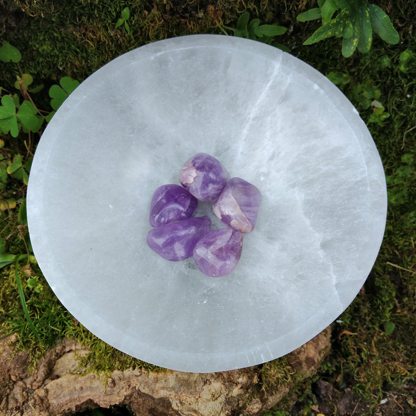 Round Cup in Selenite