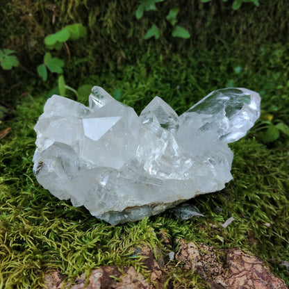 95 - Crystal Quartz Druse