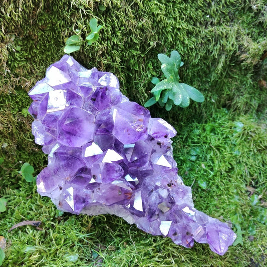 Amethyst Druse from Brazil