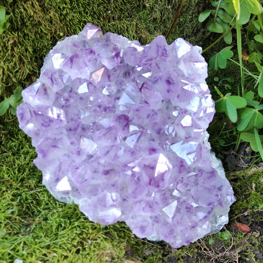 Amethyst Druse