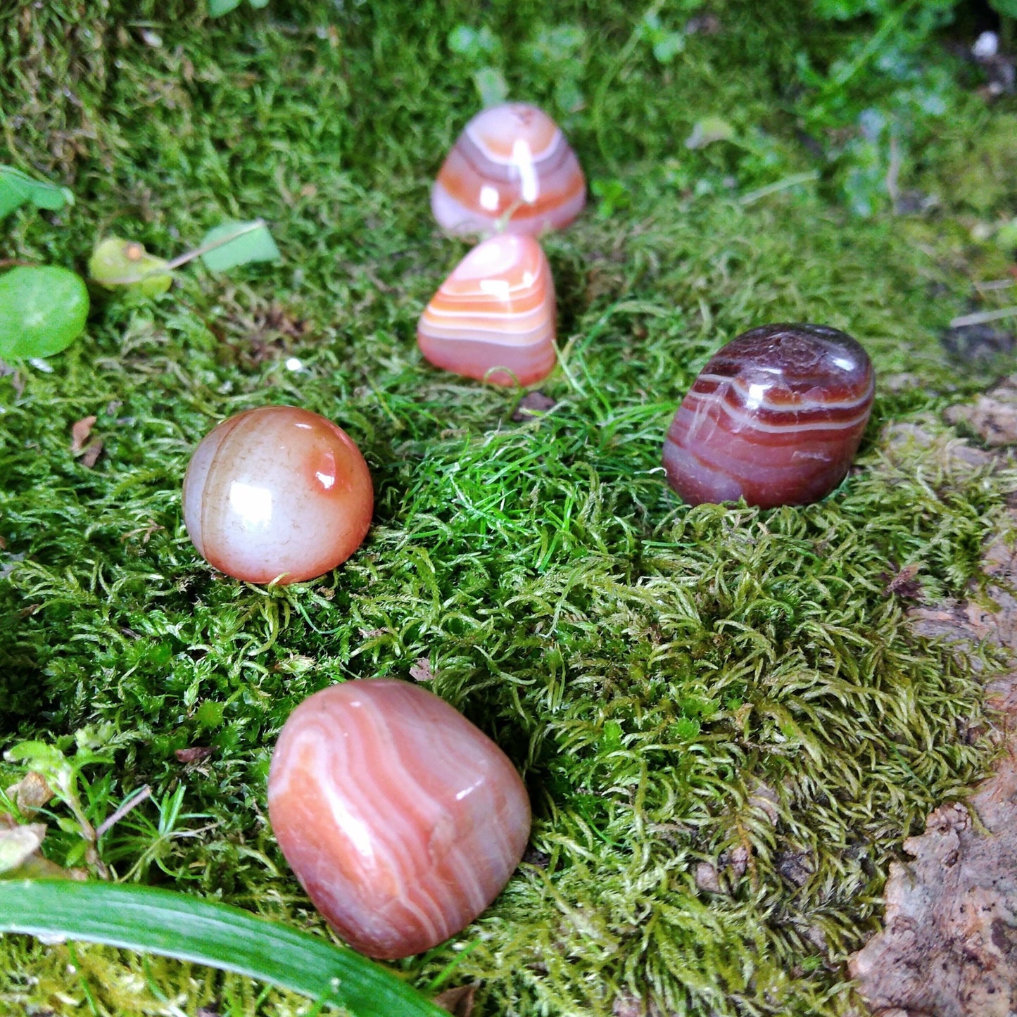 Pocket Carnelian Agate