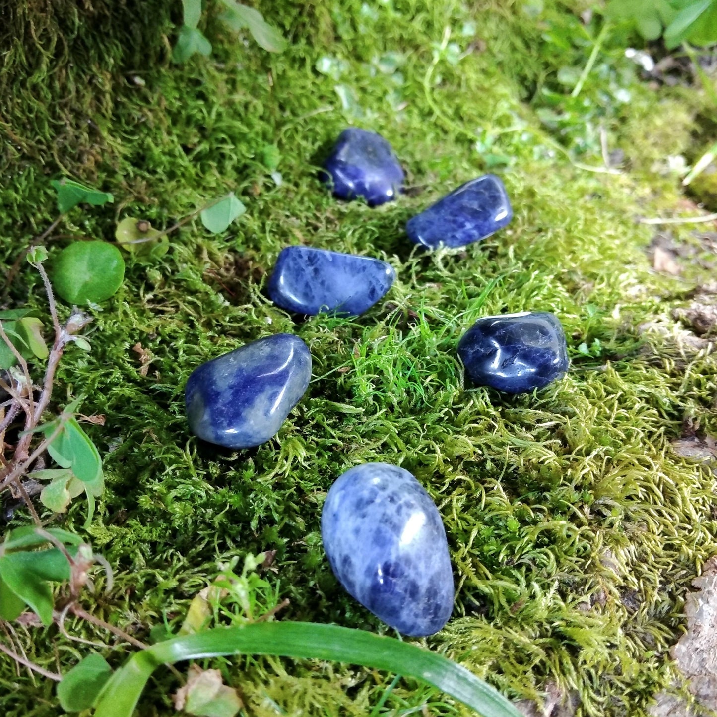 Sodalite de Bolso