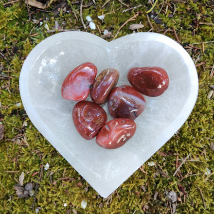 Medium Tumbled Carnelian Agate