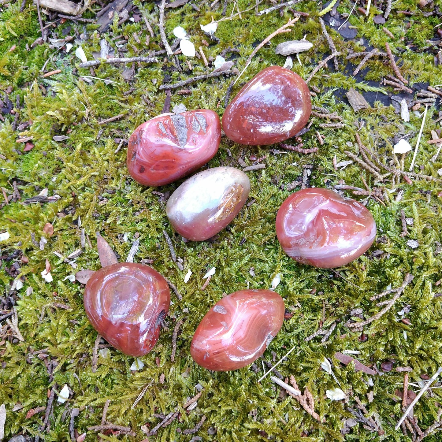 Medium Tumbled Carnelian Agate