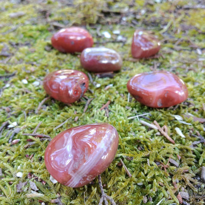 Medium Tumbled Carnelian Agate