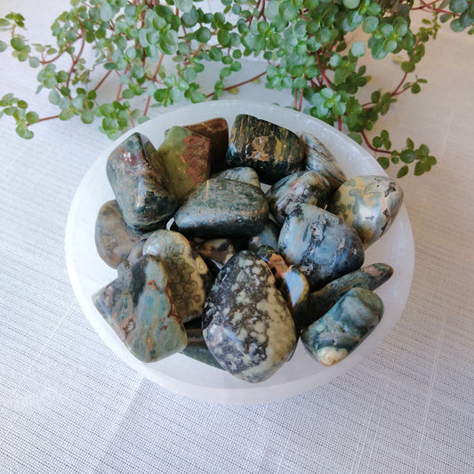 Tumbled M Oceanic Jasper