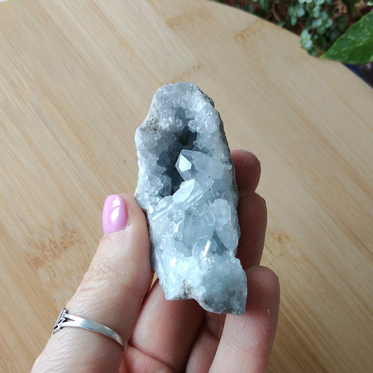 Drusa de Celestite