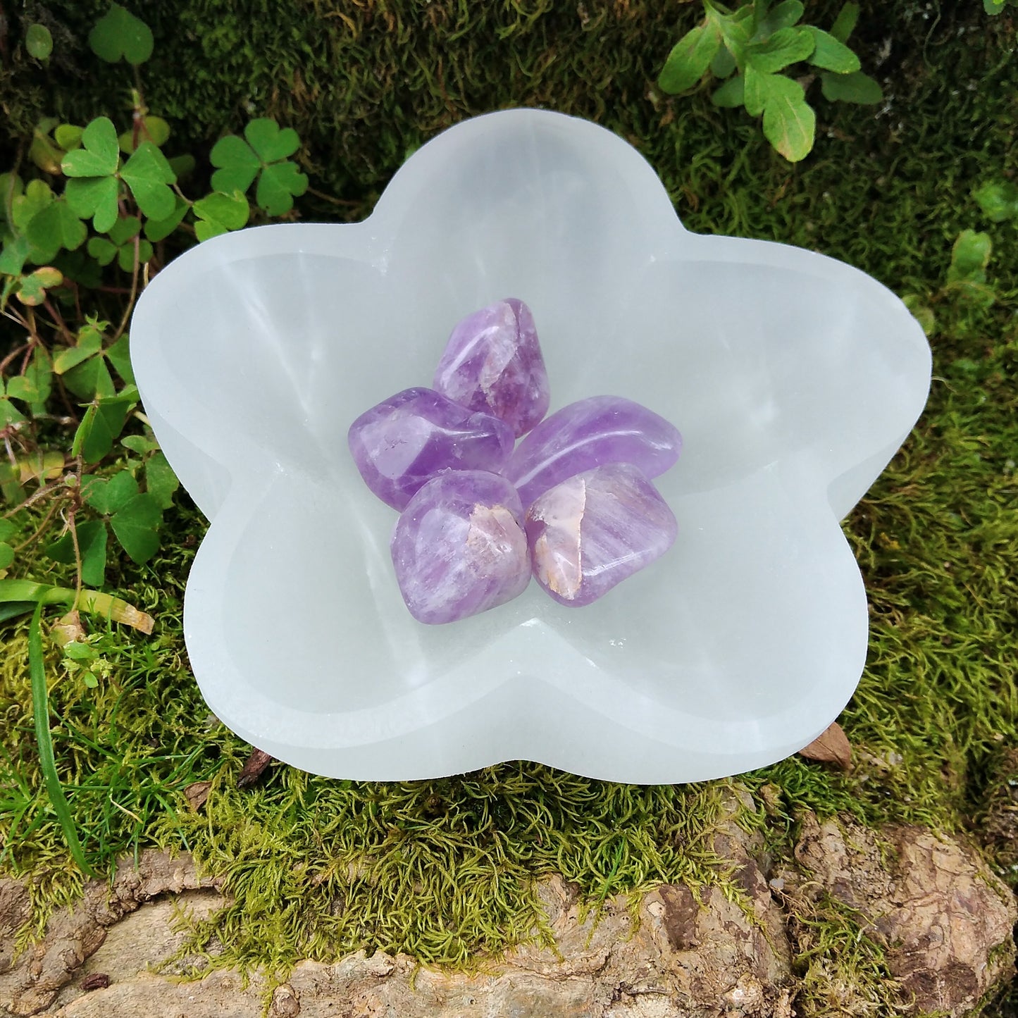 Star Cup in Selenite